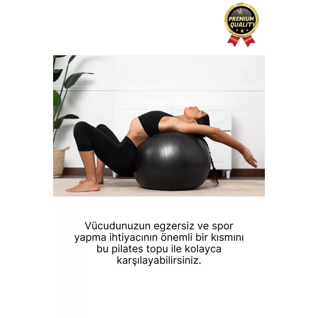 Premium Mini Gymball 20cm Jimnastik Denge Fitness Spor Şişirme Pompası Hediyeli Siyah Pilates Topu