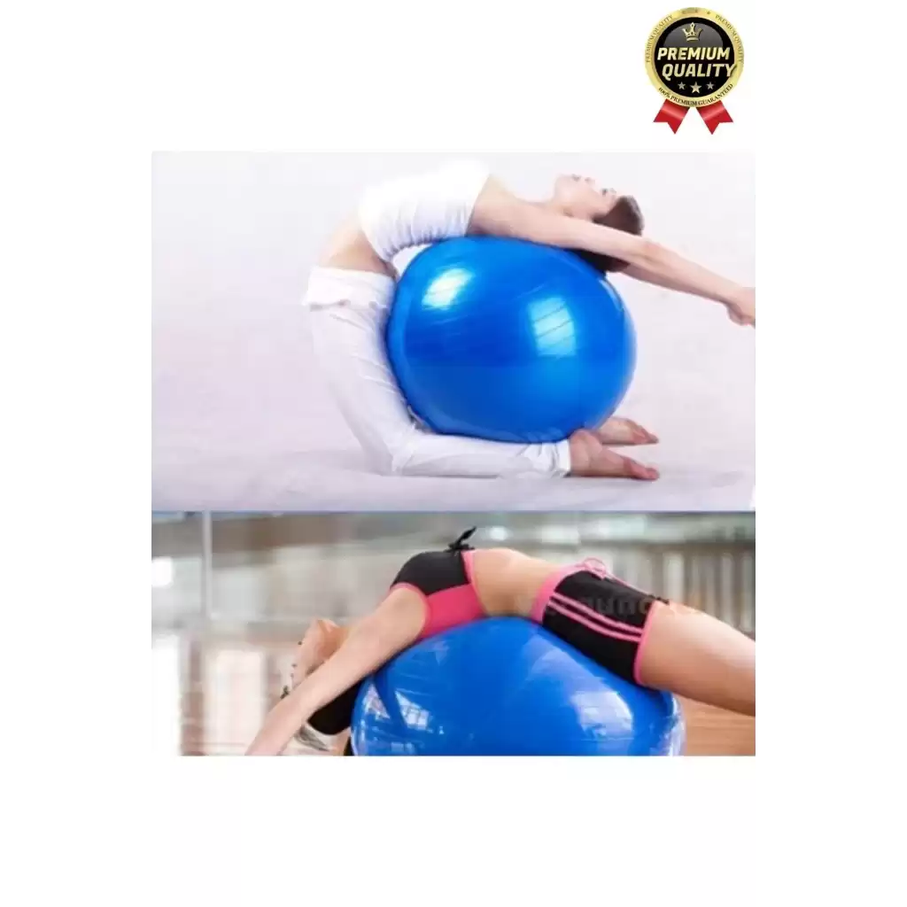 Premium Mini Gymball 20cm Jimnastik Denge Fitness Spor Şişirme Pompası Hediyeli Mavi Pilates Topu