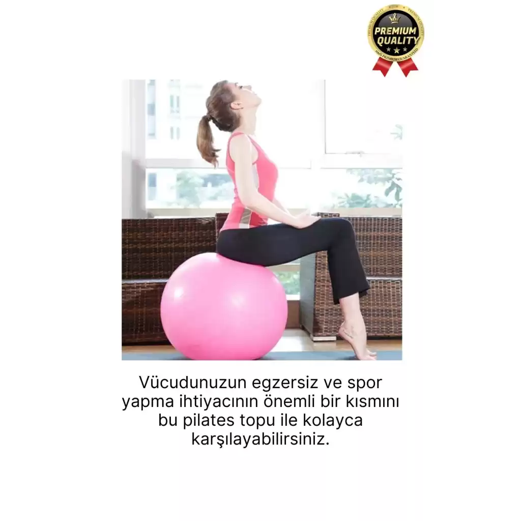 Premium Mini Gymball 20cm Jimnastik Denge Fitness Spor Şişirme Pompası Hediyeli Pembe Pilates Topu