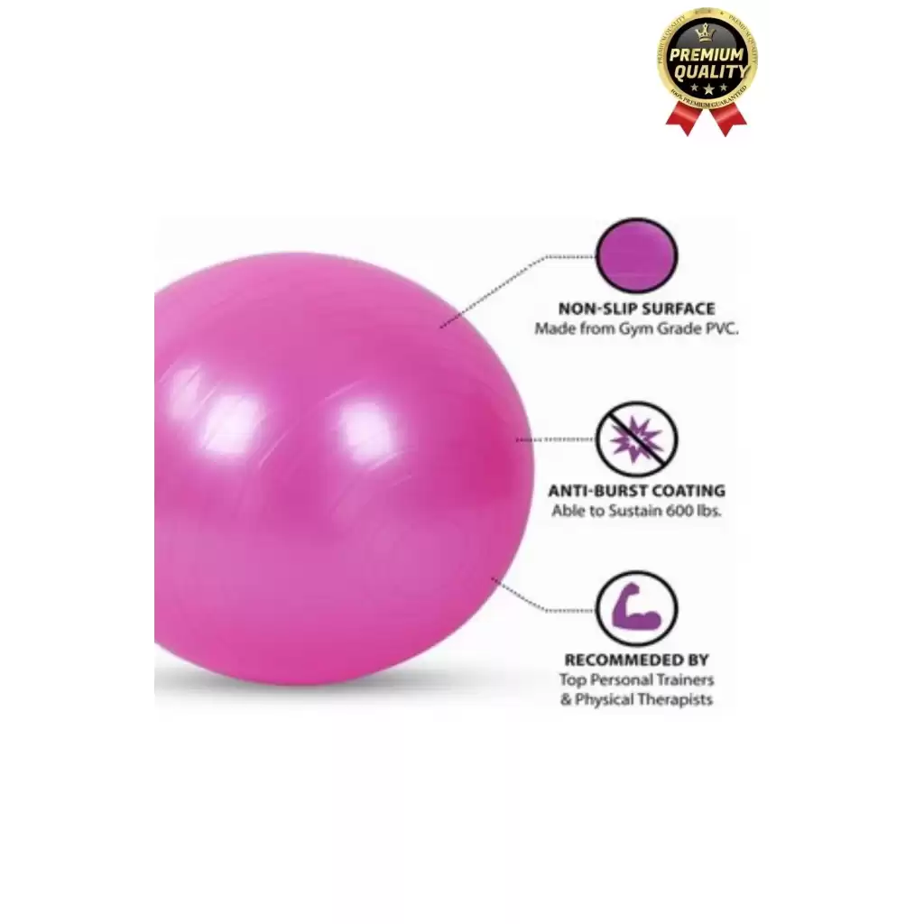 Premium Mini Gymball 20cm Jimnastik Denge Fitness Spor Şişirme Pompası Hediyeli Pembe Pilates Topu