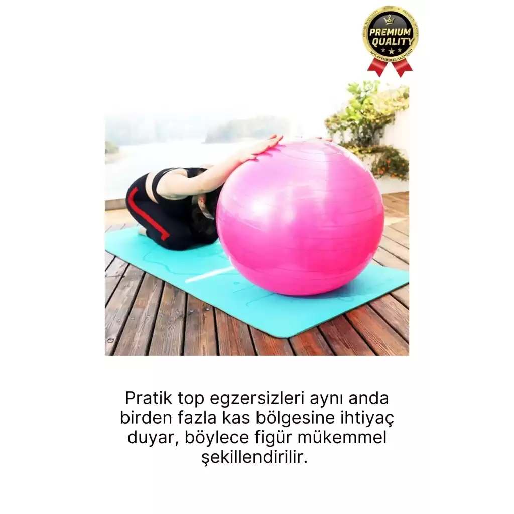 Premium Mini Gymball 20cm Jimnastik Denge Fitness Spor Şişirme Pompası Hediyeli Pembe Pilates Topu