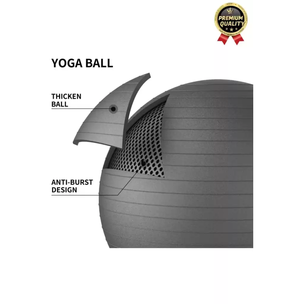 Premium Mini Gymball 20cm Jimnastik Denge Fitness Spor Şişirme Pompası Hediyeli Pembe Pilates Topu