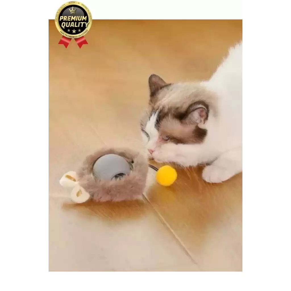 Özel Üretim Yumuşak Küçük Boyutlu Şarj Edilebilir Etkileşimli Eğlenceli Yuvarlanan Kedi Top Oyuncağı