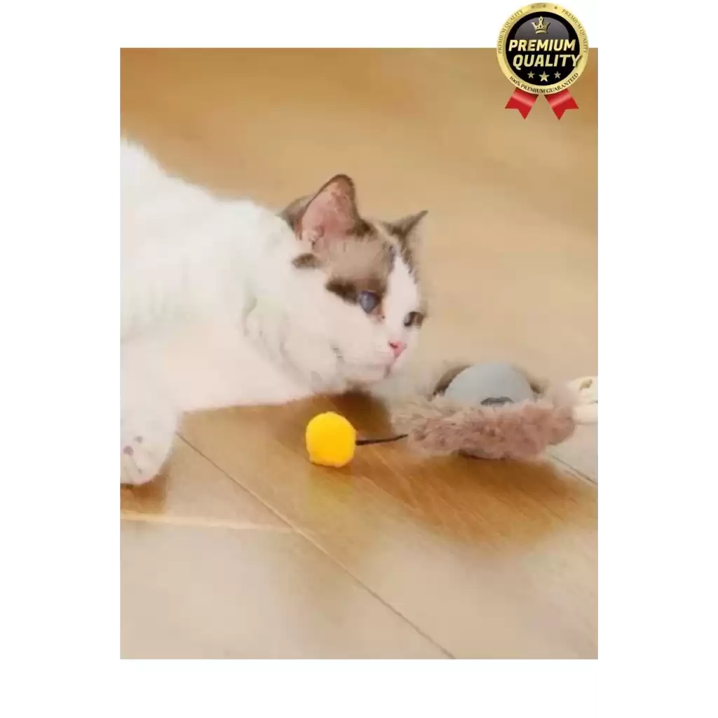 Özel Üretim Yumuşak Küçük Boyutlu Şarj Edilebilir Etkileşimli Eğlenceli Yuvarlanan Kedi Top Oyuncağı