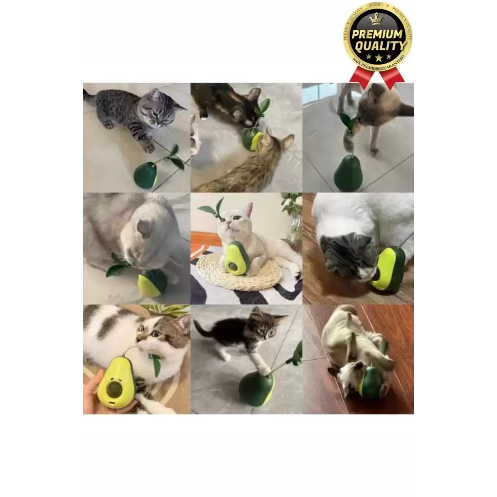 Yeni Nesil Eğlenceli Döner Mekanizmalı Avokado Şeklinde Kedi Naneli ve Mama Hazneli Kedi Oyuncağı
