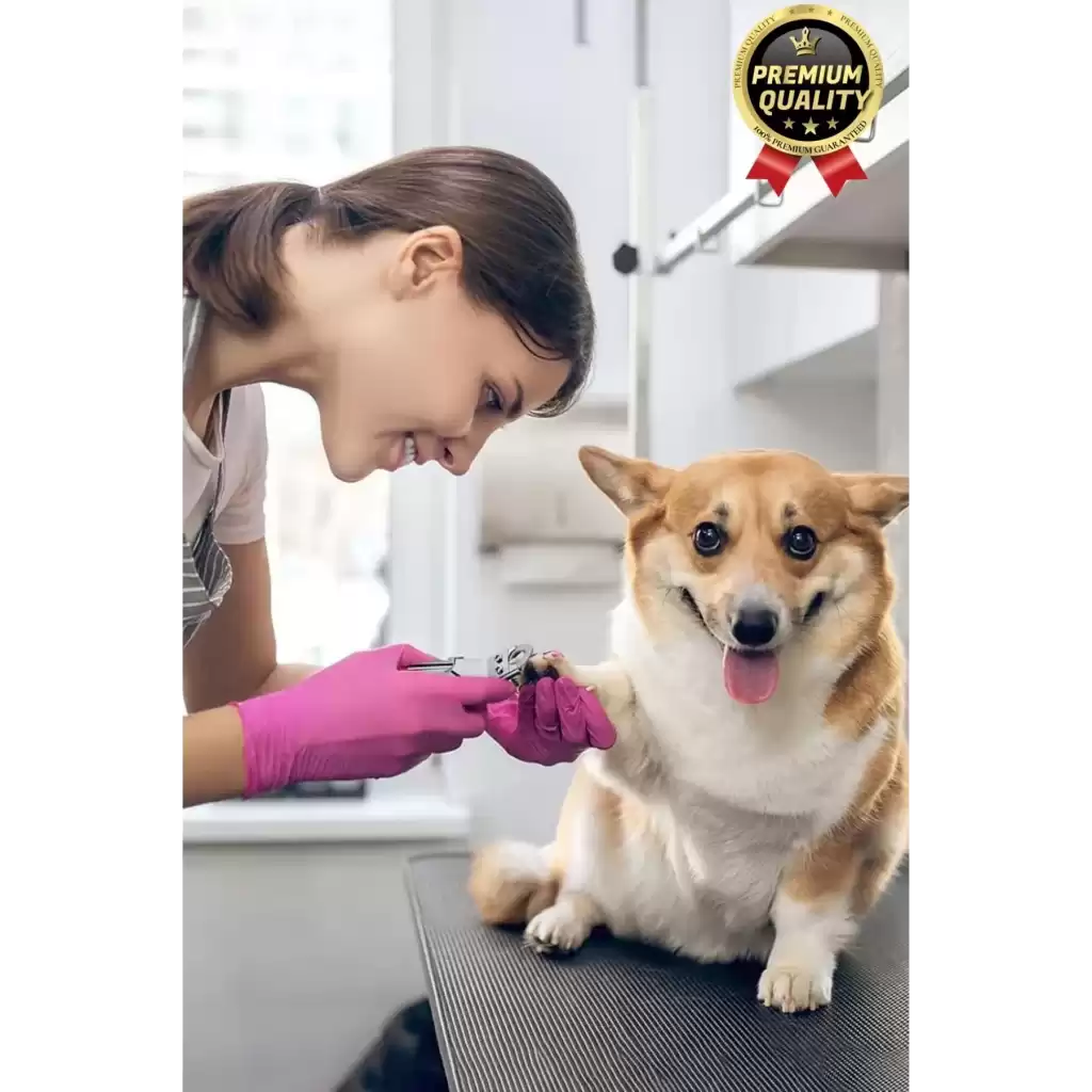 Özel Üretim Dayanıklı Güvenli Bakım Keskin Bıçaklı Kedi Köpek Evcil Hayvan Giyotin Tırnak Makası