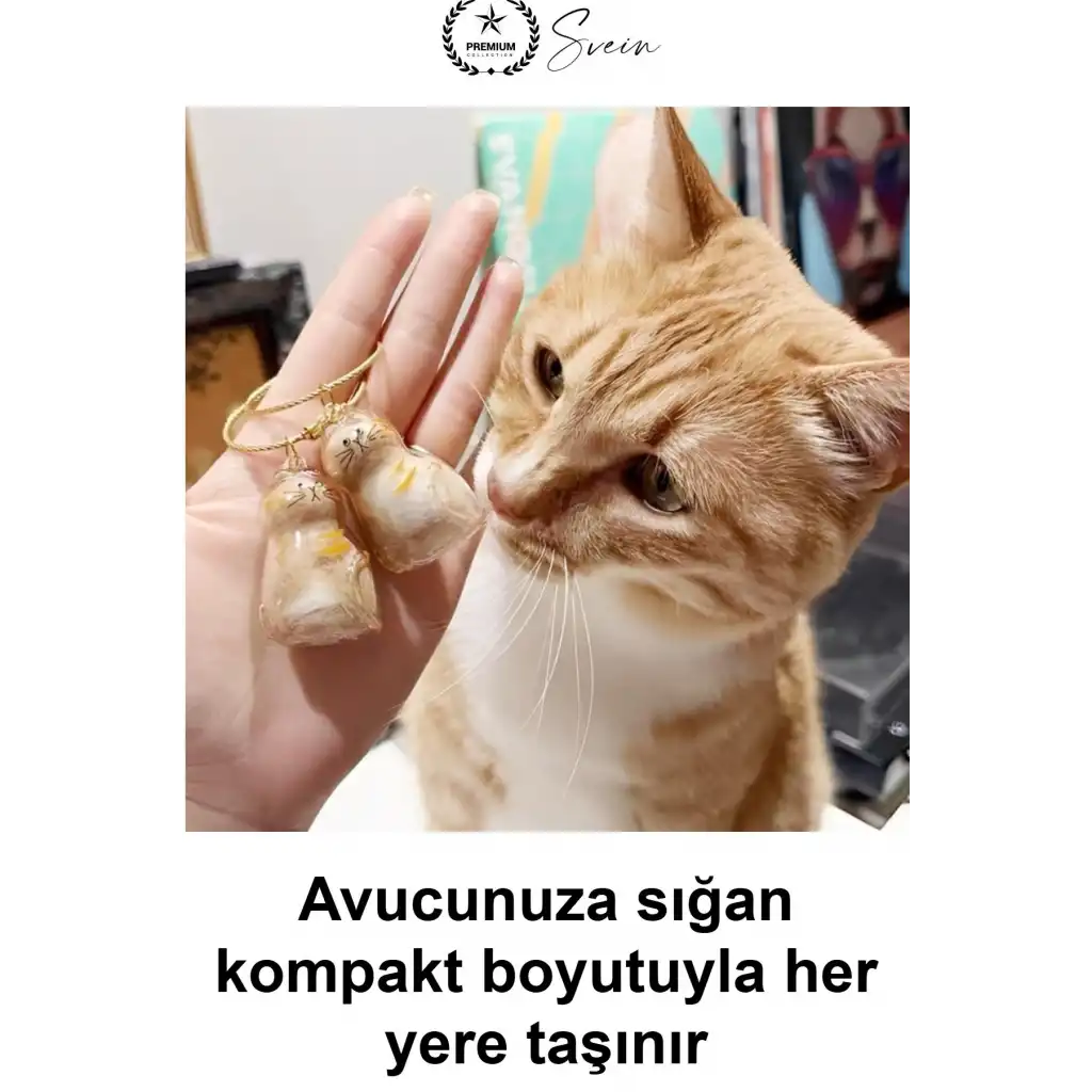#KediAnahtarlığı Kedi Figürlü Şeffaf Anı Anahtarlığı Tüy Saklama Hazneli Hatıra Aksesuarı Evcil Hayvan Sahibine Anlamlı Hediye Çanta Süsü Akrilik Metal Halkalı Sevimli Tasarım Karışık Model 4-6 cm