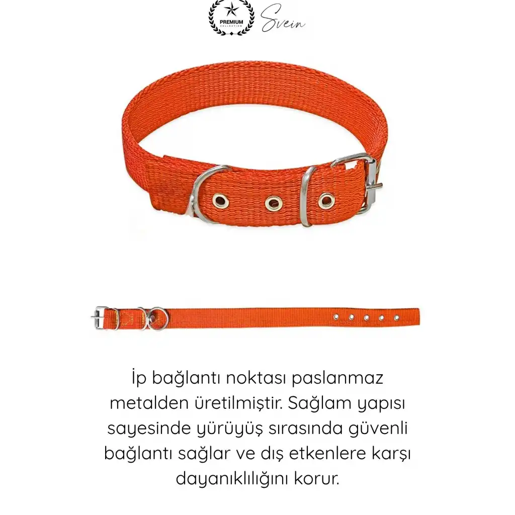 #Tasma Dokuma Köpek Boyun Tasması Turuncu 2,5x50 cm Ayarlanabilir Dayanıklı Gezdirme Tasması Paslanmaz Metal Tokalı Güçlü Kumaş Evcil Hayvan Yavru Orta Irk Konforlu Güvenli Aksesuar