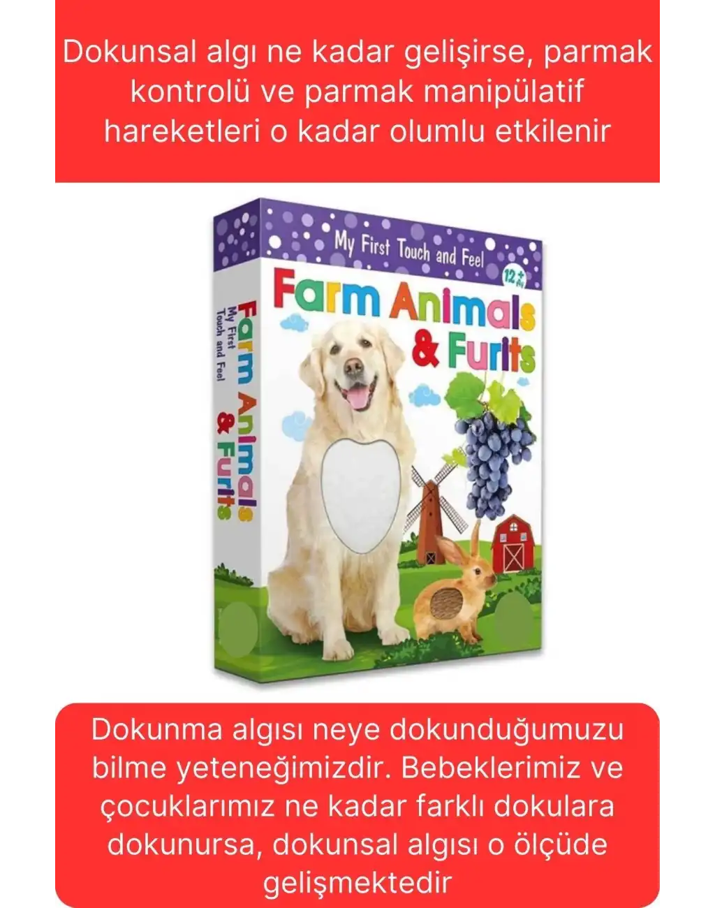 Premium Kutulu Eğitici Öğretici Farm Animals Çiftlik Hayvanları ve Meyveler El Göz Koordinasyon Oyun