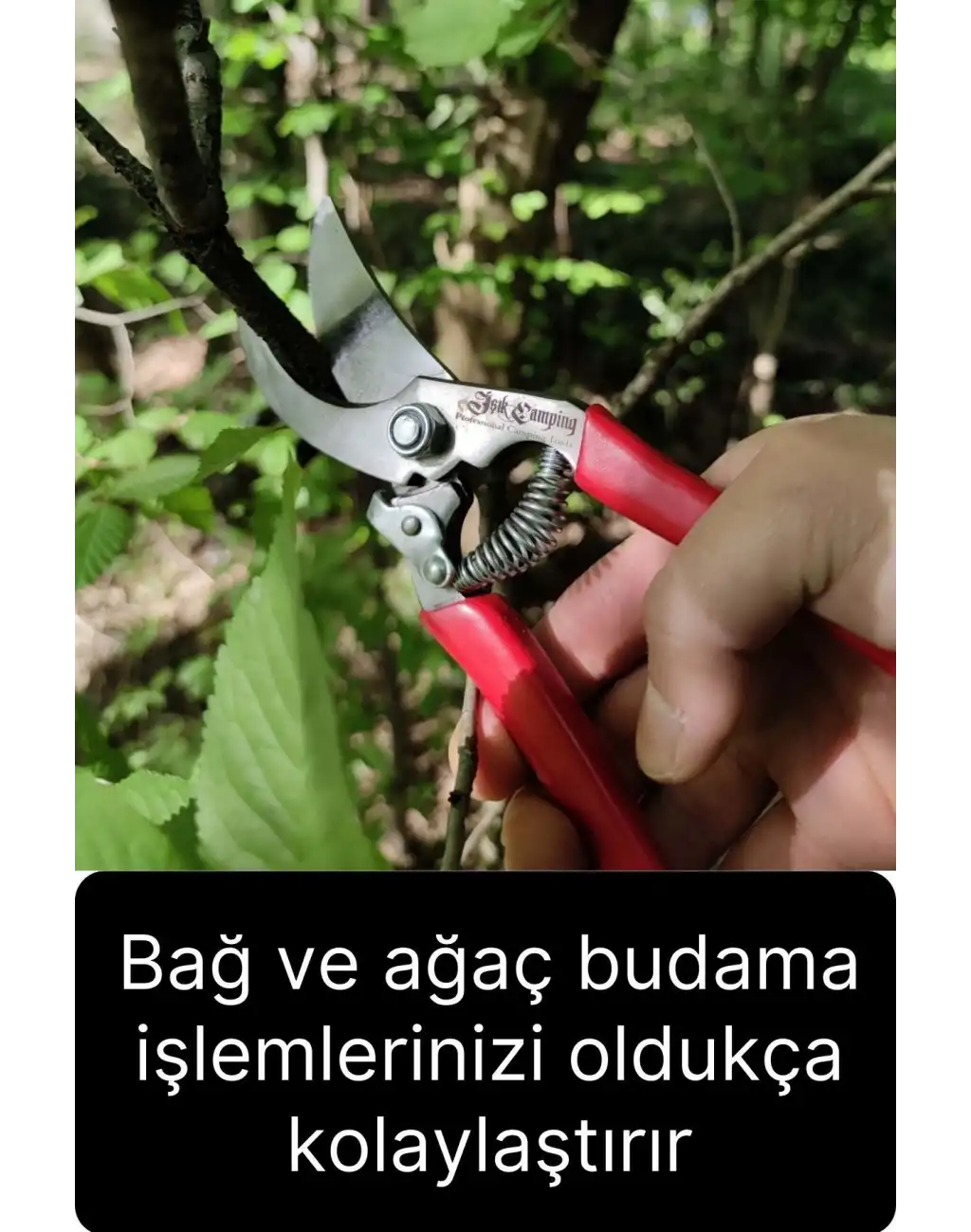 Özel Üretim Premium Bağ Ağaç Budama Makası Üzüm Bahçe Çiçek Gül Bitki Narenciye Eğri Dal Kesme Aleti