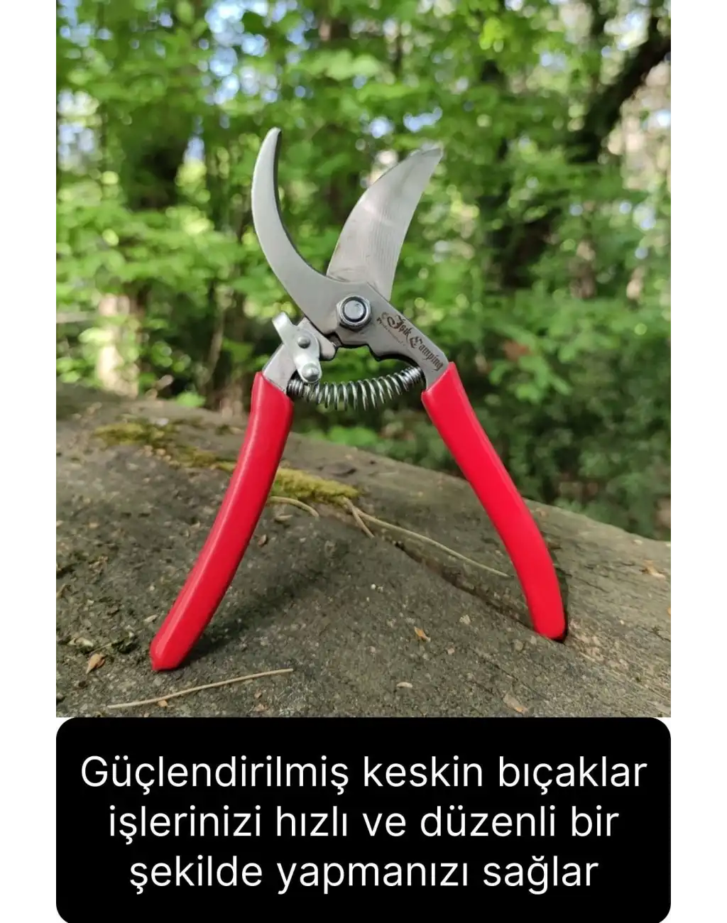 Özel Üretim Premium Bağ Ağaç Budama Makası Üzüm Bahçe Çiçek Gül Bitki Narenciye Eğri Dal Kesme Aleti