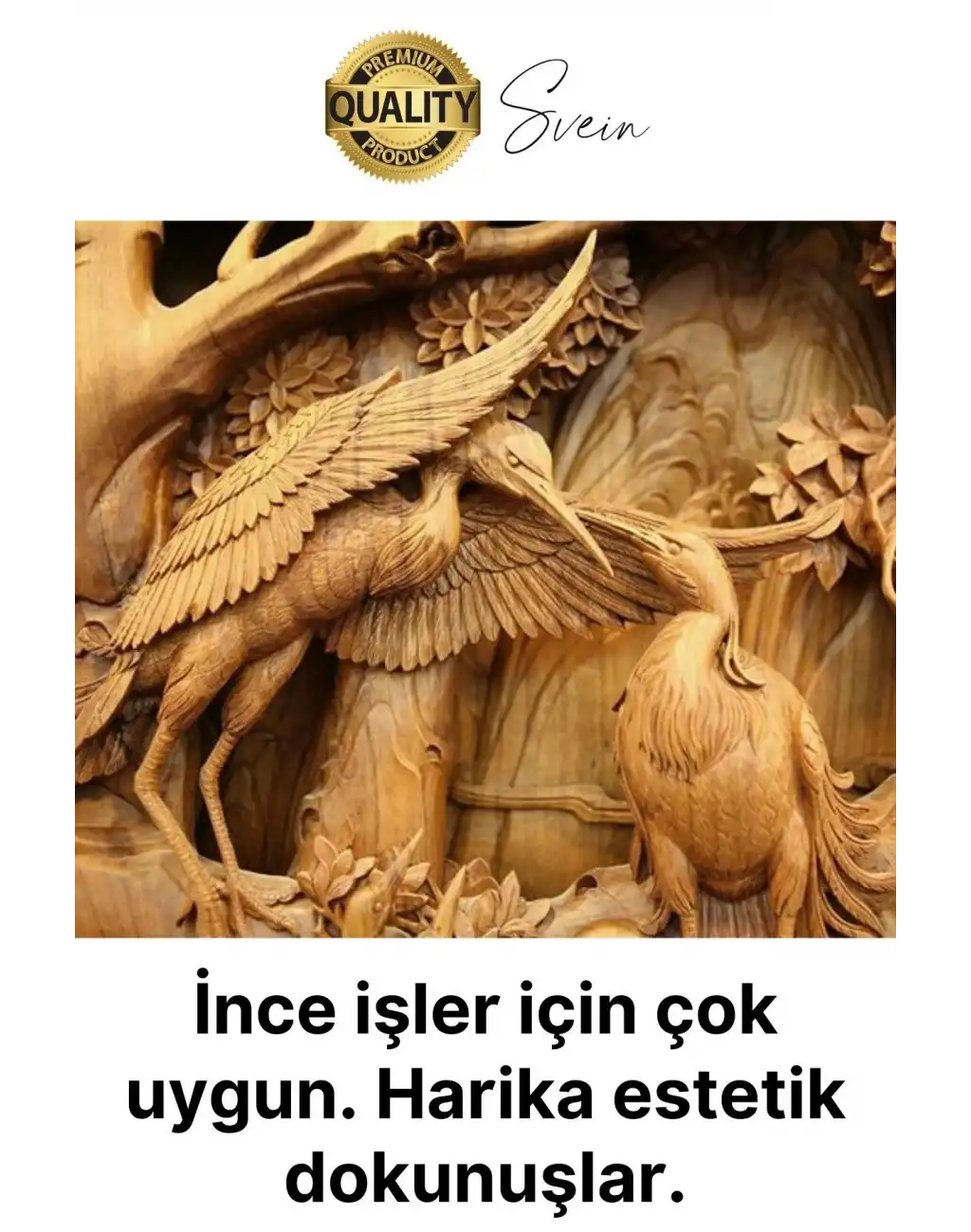 Premium Paslanmaz Ahşap El Oyma Bıçak Seti 12 Parça Siyah Uç İskarpela Hobi Profesyonel İşleme Aleti