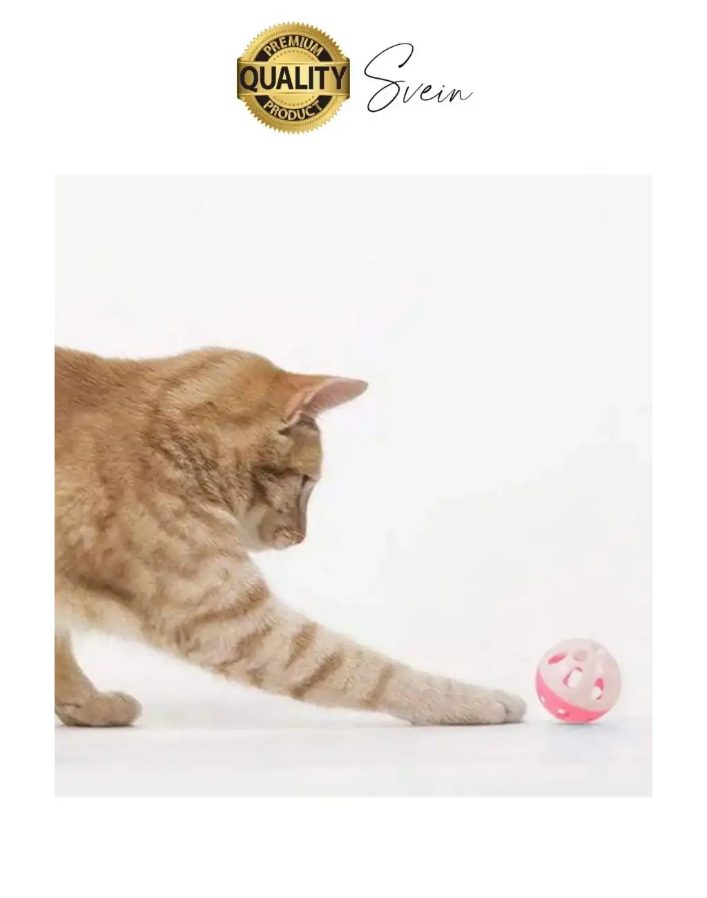 Hareketli 3.5 cm Çıngıraklı Kedi Köpek Evcil Hayvan Oyun Topu Plastik Zil Oyuncağı Eğitici