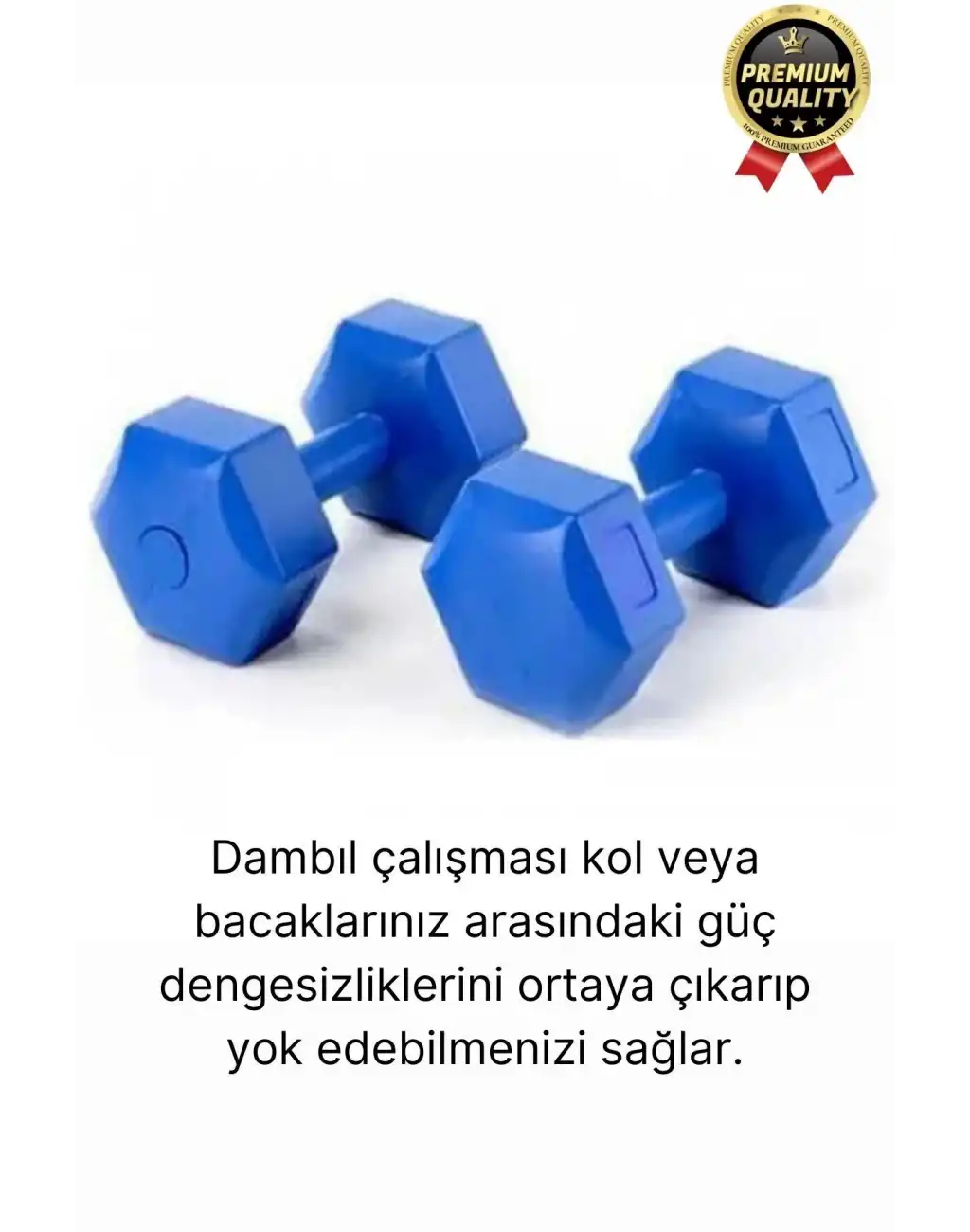 Premium Kalite Fitness Spor Egzersiz Vücut Kas Geliştirme Mavi 4 Kg Dambıl Ağırlık Seti - 2 Adet