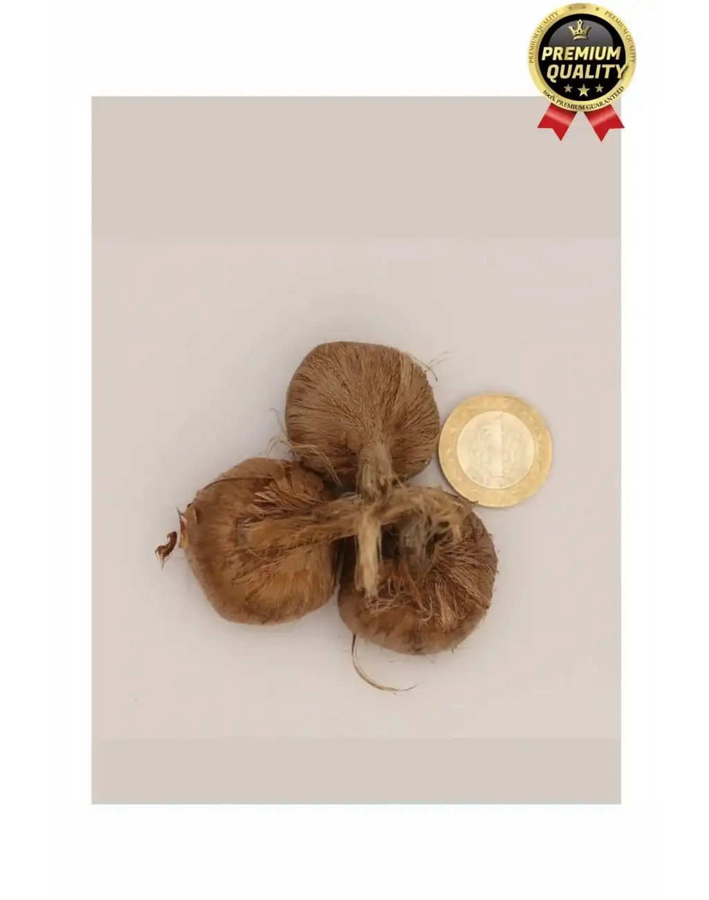 Özel Yerli Üretim Dikime Hazır Büyük Boy 1. Kalite Efsane Safranbolu Safran Soğanı Bitkisi - 1 Adet