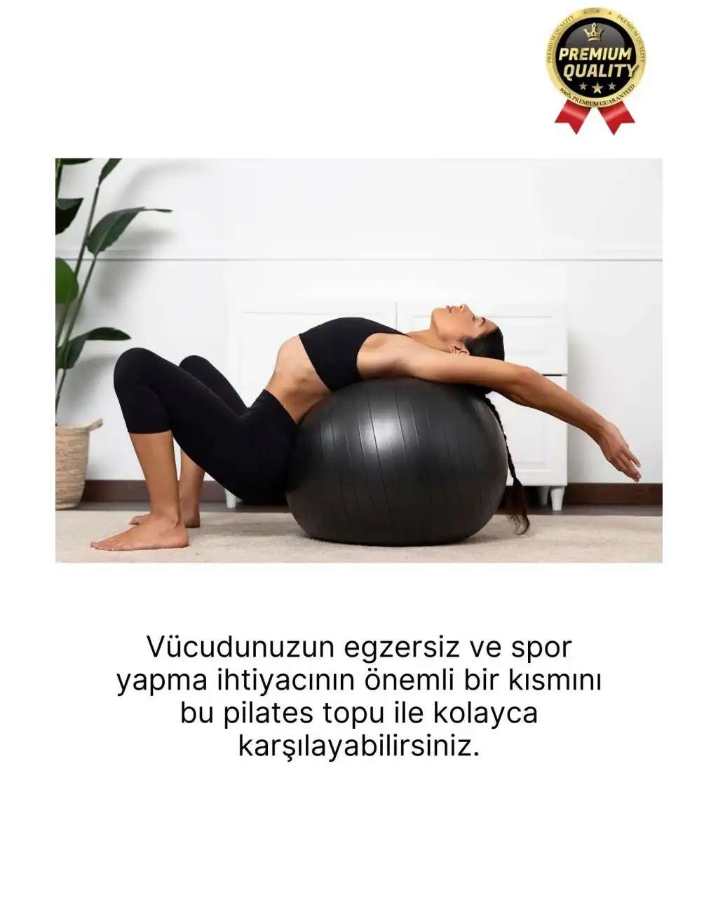 Premium Mini Gymball 20cm Jimnastik Denge Fitness Spor Şişirme Pompası Hediyeli Siyah Pilates Topu