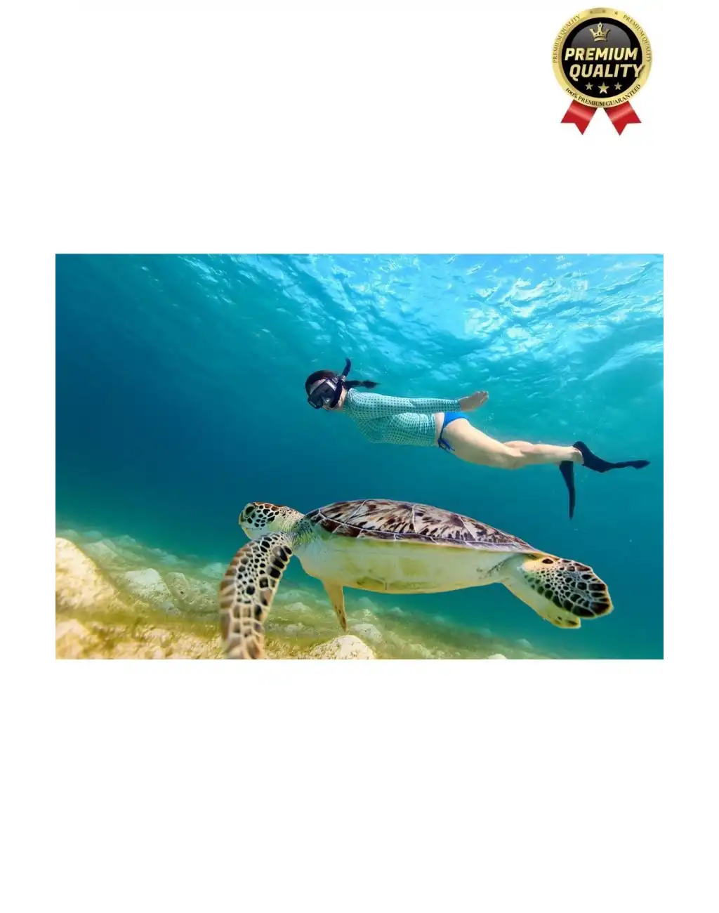 Yüksek Kalite Silikon Siyah Tahliye Hortumlu Deniz Havuz Önden Su Altı Eğitim Dalış Şnorkeli-1 Adet