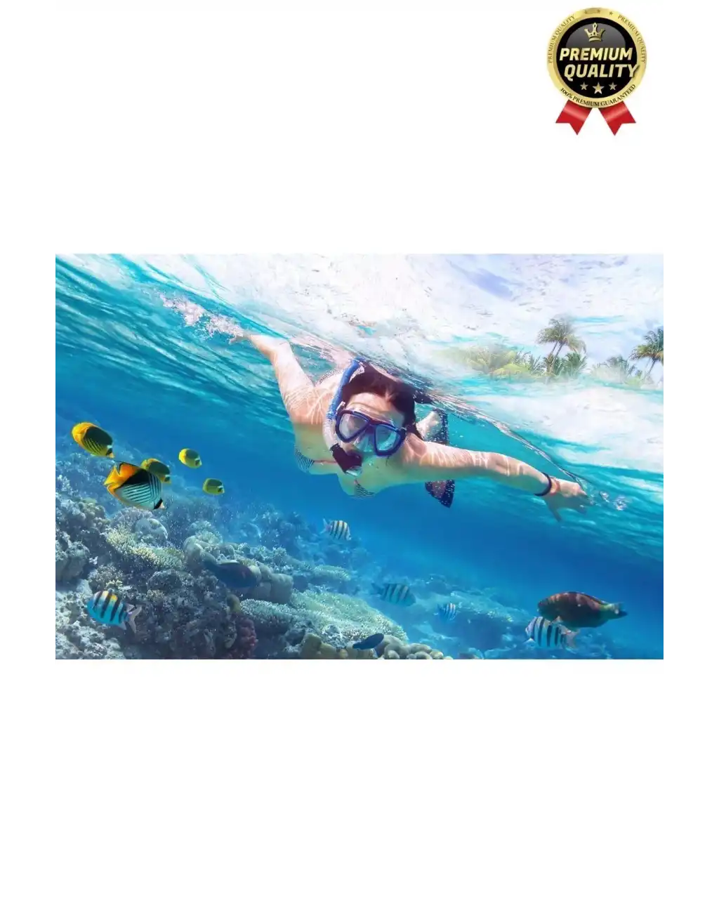 Yüksek Kalite Silikon Siyah Tahliye Hortumlu Deniz Havuz Önden Su Altı Eğitim Dalış Şnorkeli-1 Adet