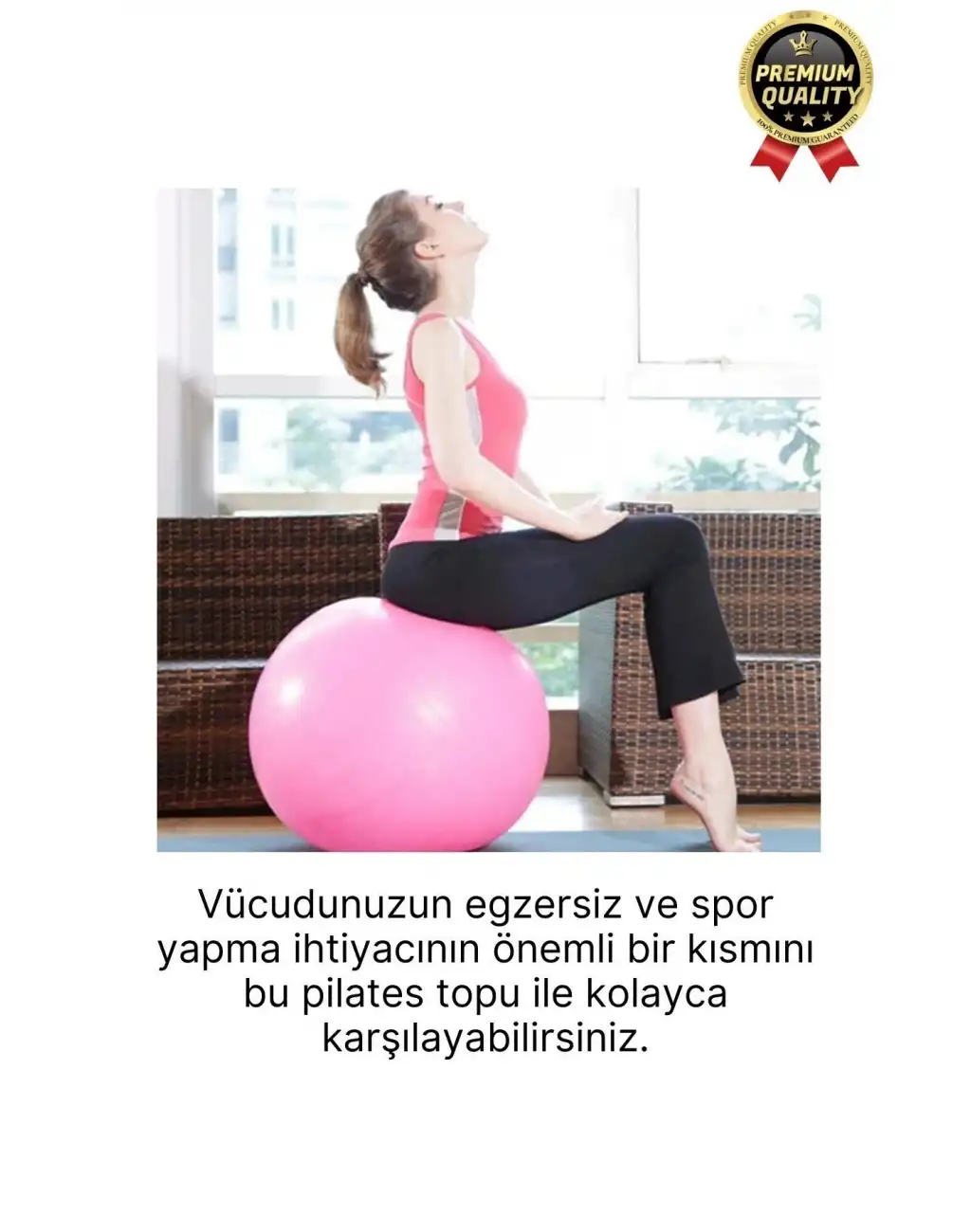 Premium Mini Gymball 20cm Jimnastik Denge Fitness Spor Şişirme Pompası Hediyeli Pembe Pilates Topu
