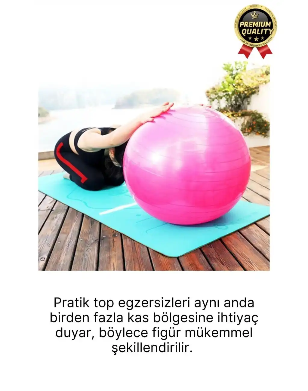 Premium Mini Gymball 20cm Jimnastik Denge Fitness Spor Şişirme Pompası Hediyeli Pembe Pilates Topu