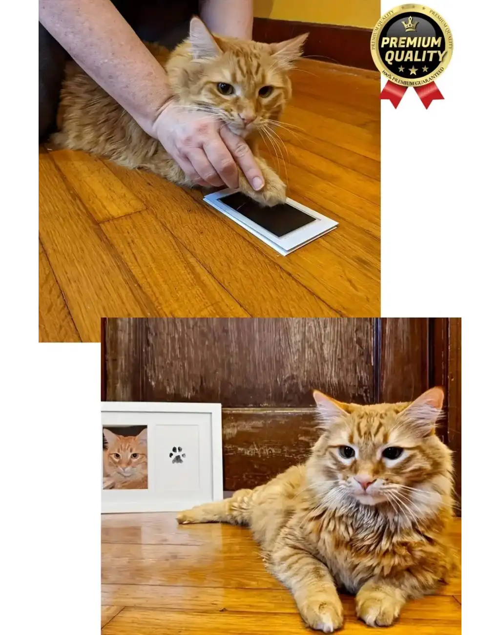 Özel Seri Mürekkepsiz 2 Kullanımlık Evcil Hayvan Bebek El Ayak İzi Fotoğraf Hatıra Çerçevesi Seti