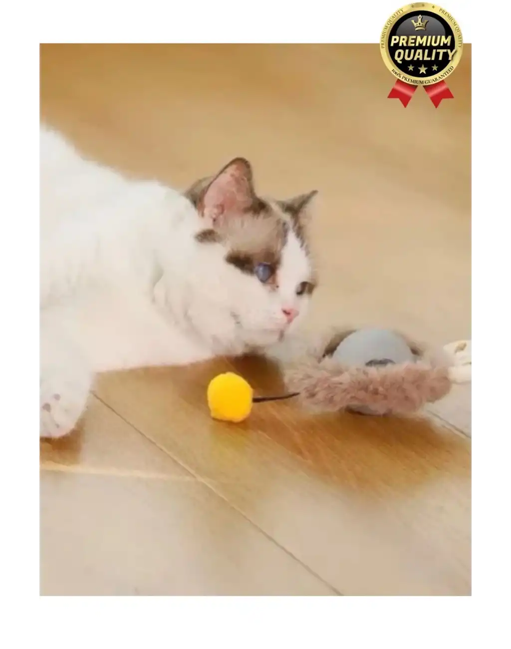 Özel Üretim Yumuşak Küçük Boyutlu Şarj Edilebilir Etkileşimli Eğlenceli Yuvarlanan Kedi Top Oyuncağı