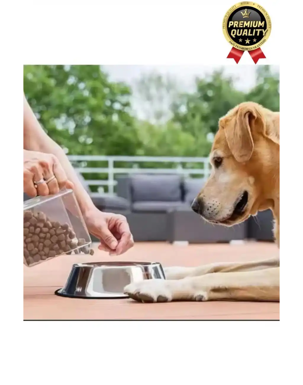 Premium Uzun Ömürlü Sağlam Kaymaz Kauçuk Taban Paslanmaz Çelik Metal Kedi Köpek Mama Su Kabı 26 Cm