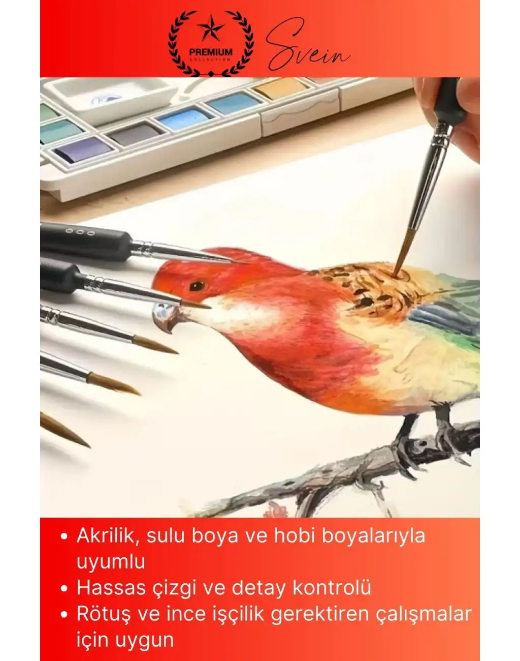 #Fırça 10lu İnce Detay Fırça Seti Rötuş Araba Detailing Hobi Temizlik Maket Boyama Seti Profesyonel