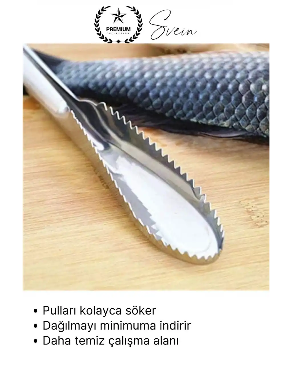 #Balık Pratik Balık Pulu Kazıyıcı El Aparatı Temizleme Aleti Paslanmaz Kolay Hızlı Hijyenik