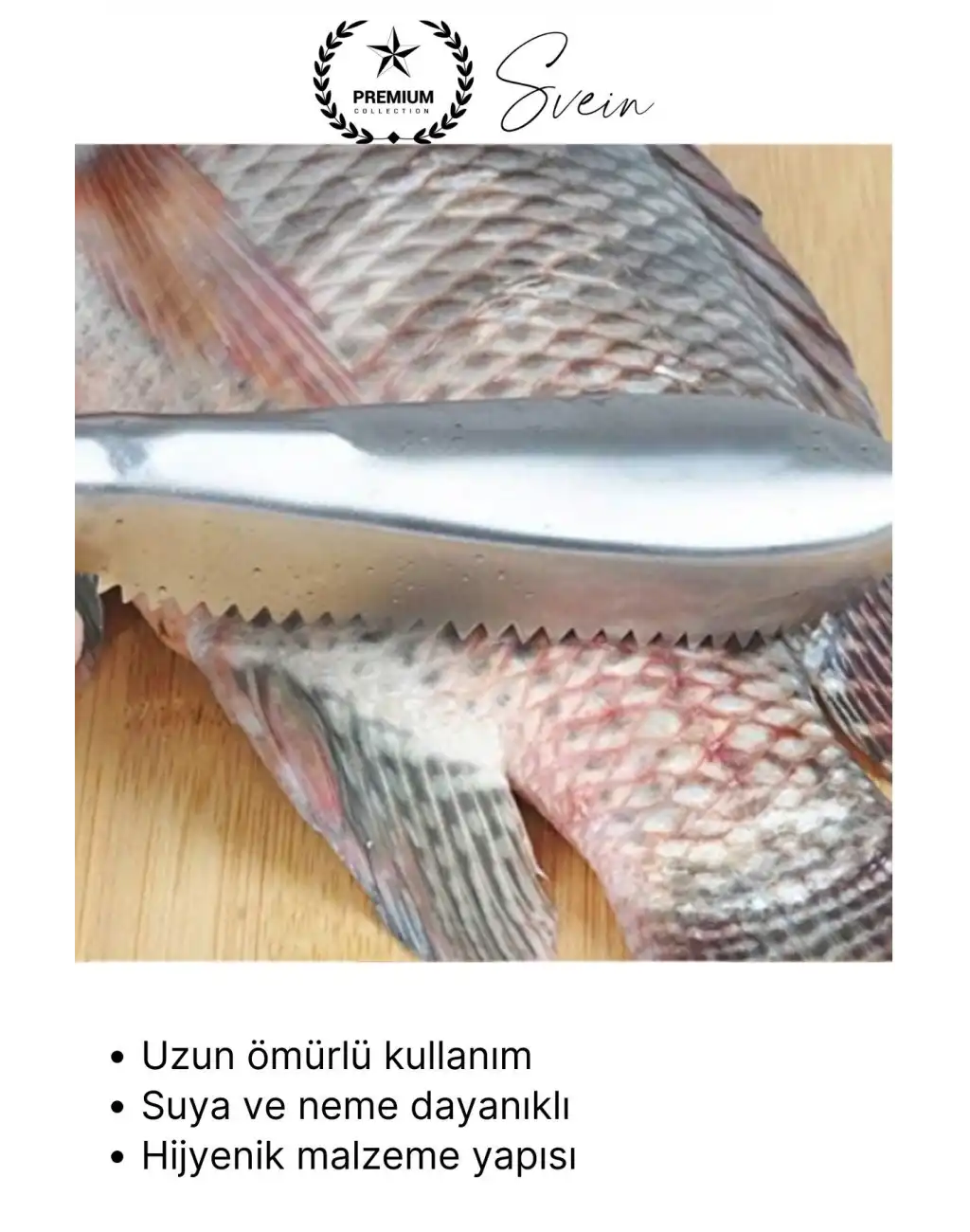 #Balık Pratik Balık Pulu Kazıyıcı El Aparatı Temizleme Aleti Paslanmaz Kolay Hızlı Hijyenik