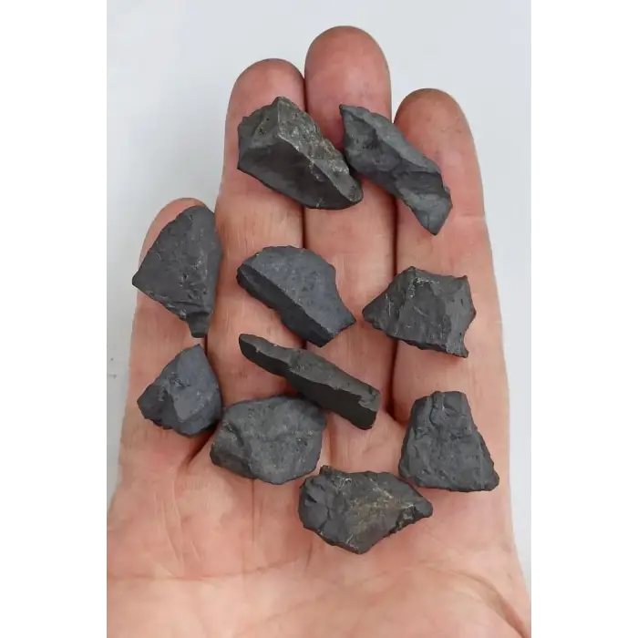 25 Gram Doğal Şungit Taşı Küçük Parçalar - 455