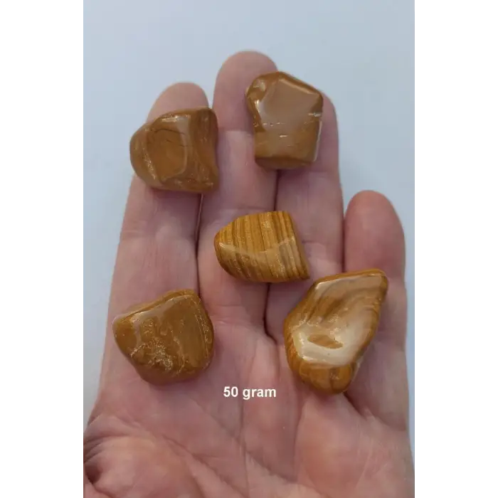 50 Gram Kahverengi Jasper Tamburlu Parçalar 538