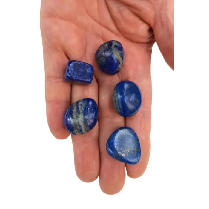 50 Gram Lapis Lazuli Tamburlu Parçalar 434-2