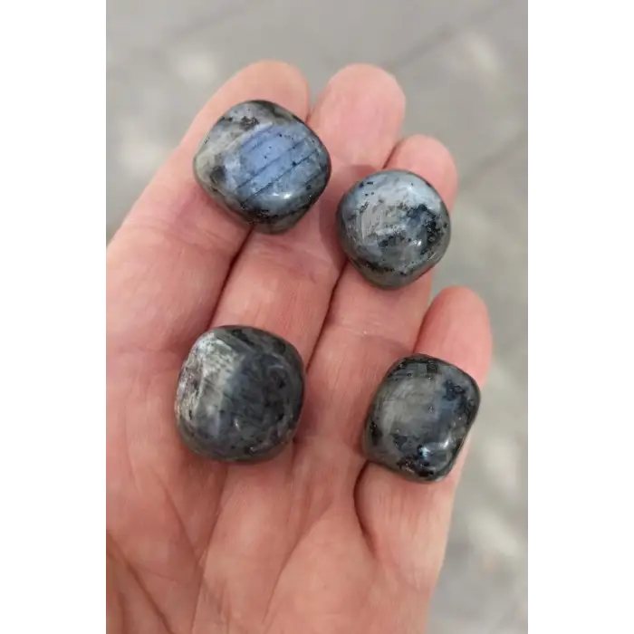 50 Gram Larvikite Taşı Tamburlu Parçalar Siyah Labradorit 664