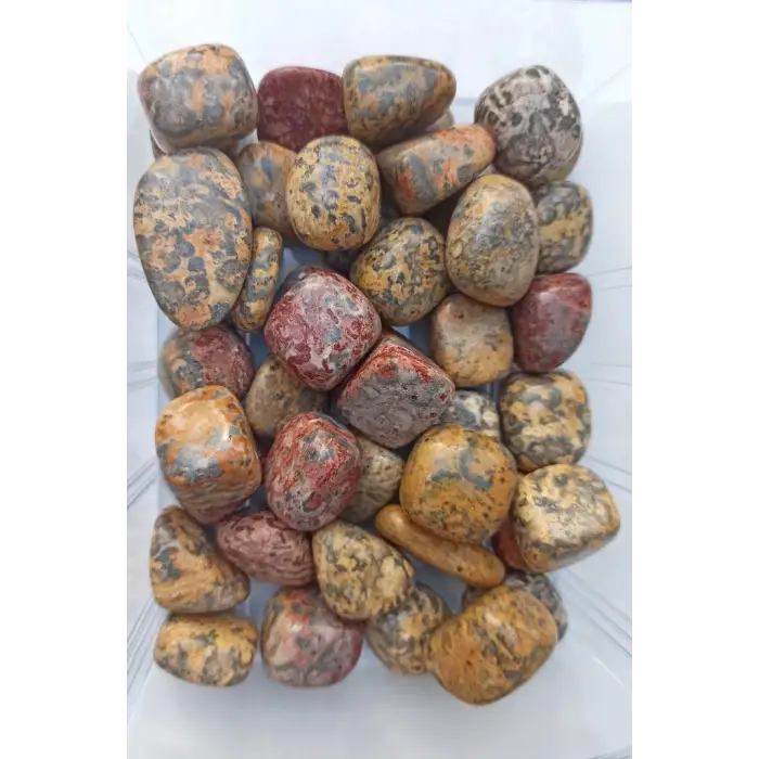 50 Gram Leopar Jasper Tamburlu Parçalar 524