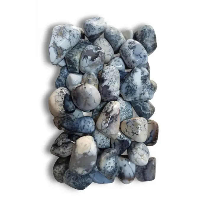 50 Gram Merlinit Dendritli Opal Tamburlu Parçalar 239-2