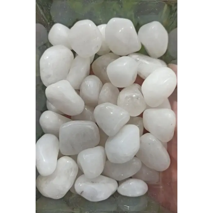 50 Gram Süt Kuvars Tamburlu Parçalar 643