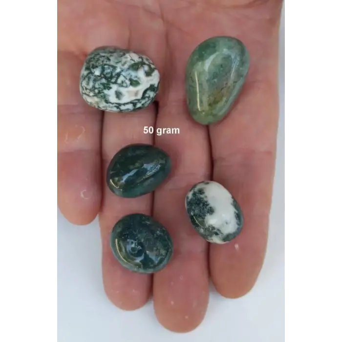 50 Gram Yosunlu Akik Tamburlu Parçalar 117