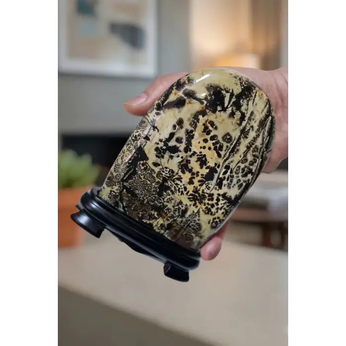 Süper Desenli Manzara Taşı Picture Jasper Dekoratif Parça 6PJ