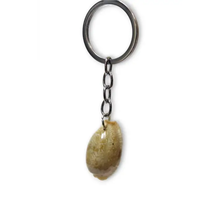 Deniz Kabuğu Anahtarlık Cowrie Shell 310