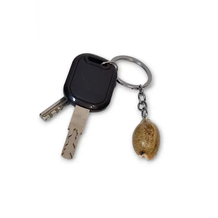 Deniz Kabuğu Anahtarlık Cowrie Shell 310