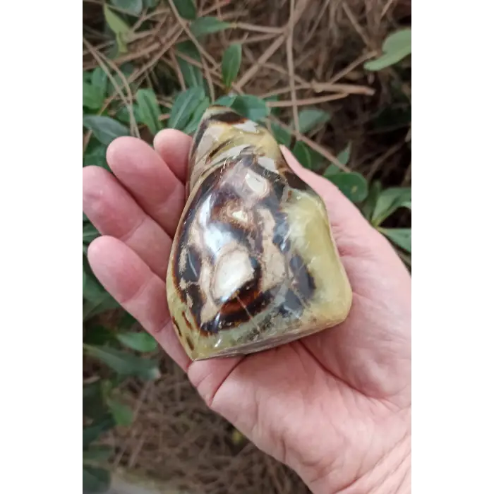 Septeryan Taşı Dekoratif Parça SEP30