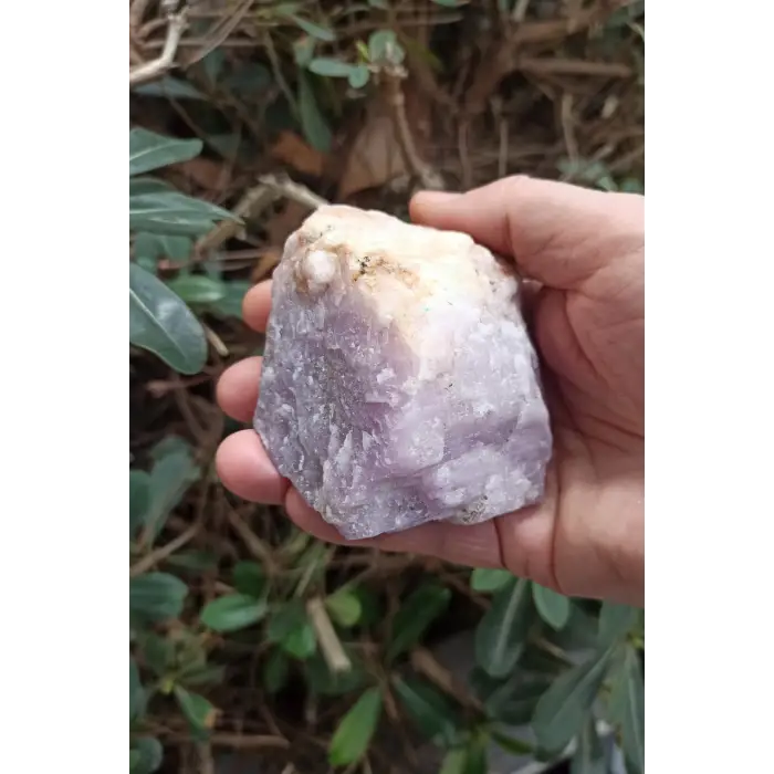 Pembe Kunzit Kristali Koleksiyonluk Doğal Parça KZ-6