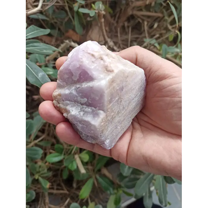 Pembe Kunzit Kristali Koleksiyonluk Doğal Parça KZ-6