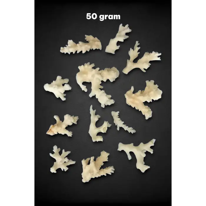 50 Gram Beyaz Mercan Küçük Parçalar 9BM