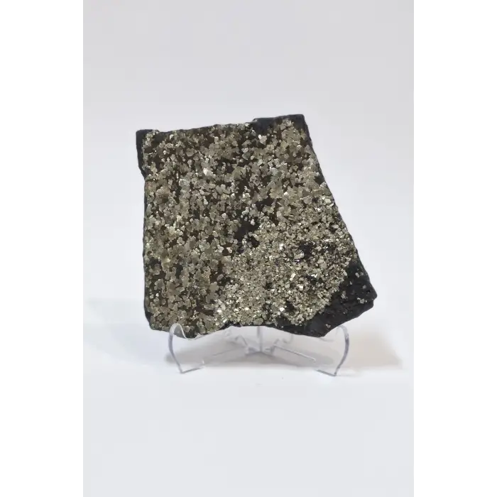 Yoğun Piritli Şungit Koleksiyonluk Doğal Parça 8PS