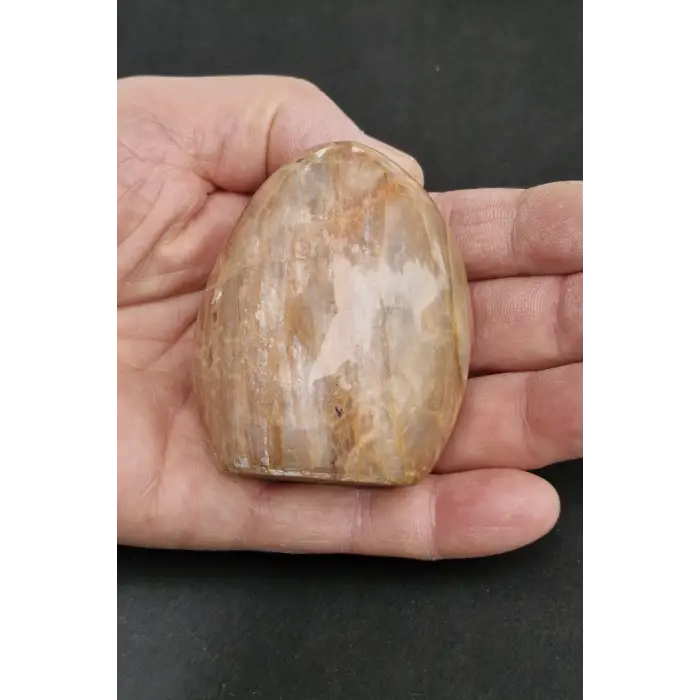 Güneş Taşı Dekoratif Parça 18GT