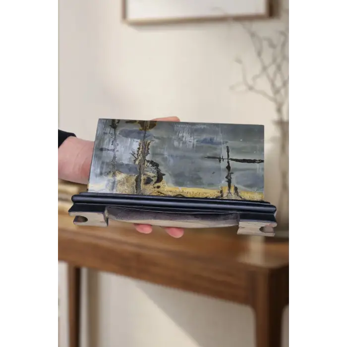 Süper Desenli Manzara Taşı Picture Jasper Dekoratif Parça 9DJ