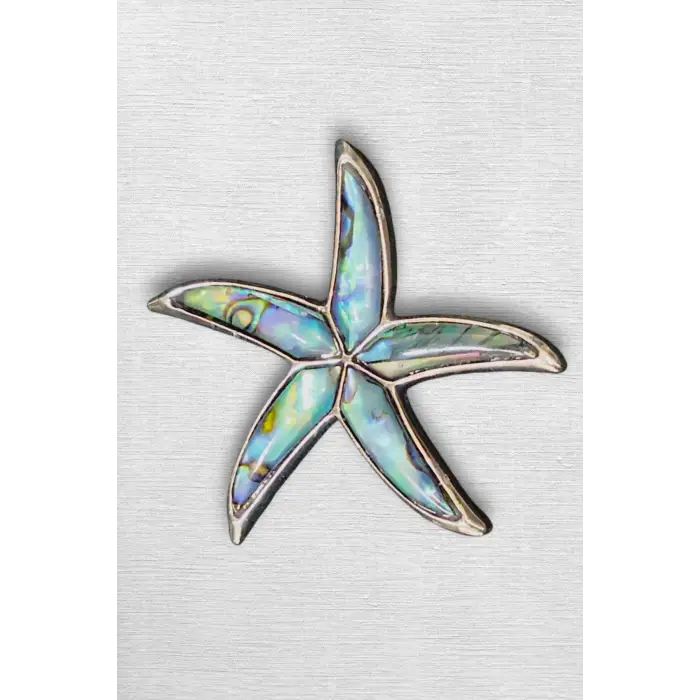 Abalon Shell Deniz Yıldızı Motifi Sedef Broş BR10-10