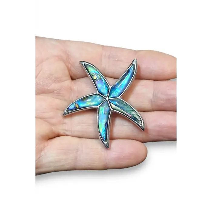 Abalon Shell Deniz Yıldızı Motifi Sedef Broş BR10-10